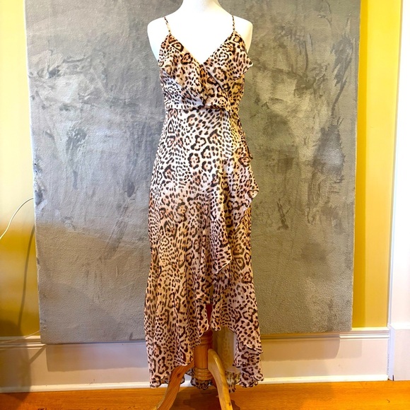 Gorgeous Wildcore MobWife Animal Print Hi Low Dress Sz XS  Feminine Romantic - Picture 1 of 8